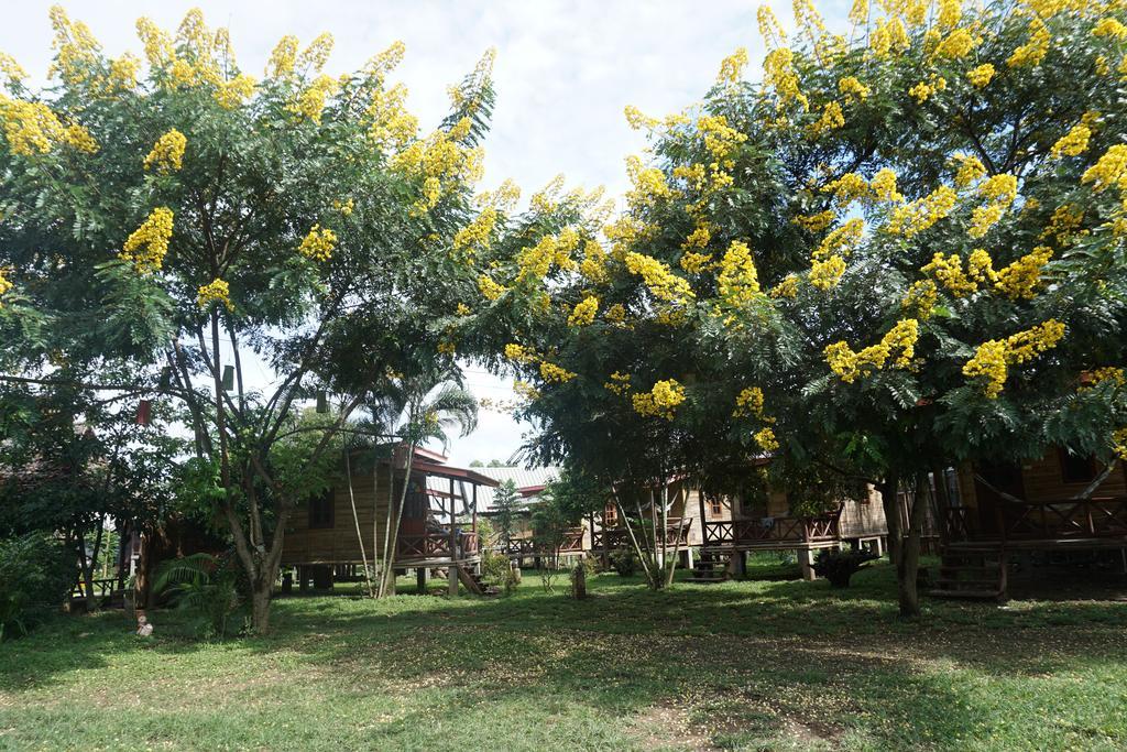 Family Hut Pai Otel Dış mekan fotoğraf